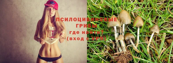 первитин Балахна