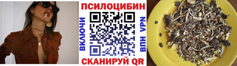 площадка наркотические препараты  Кизилюрт  Галлюциногенные грибы мухоморы  МЕГА  